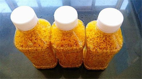 自制小鱼饵料秘籍，酒米钓鱼的完美配方与技巧