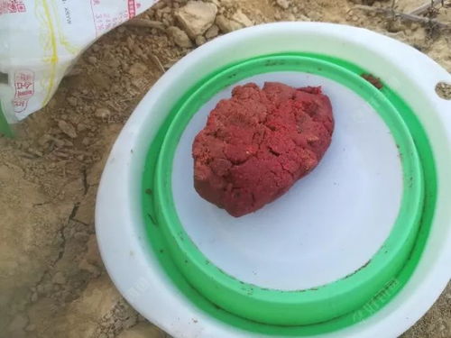 南极虾饵料配方，让鱼儿疯狂的钓鱼秘籍