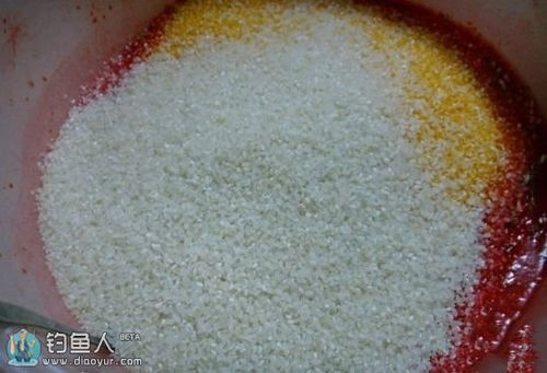 钓鱼饵料蝉蛹怎么做的视频，揭秘蝉蛹饵料制作全过程