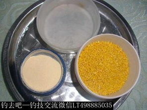 钓鱼饵料不易掉的科学配方与实用技巧