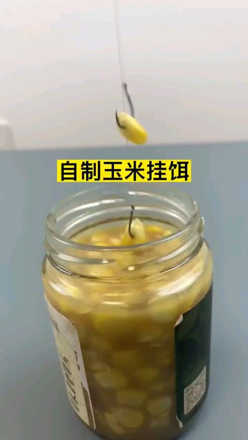 天天钓鱼饵料的制作方法
