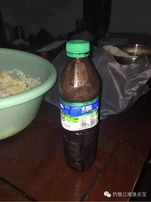 钓鱼饵料变花背后的科学，原因与预防全解析