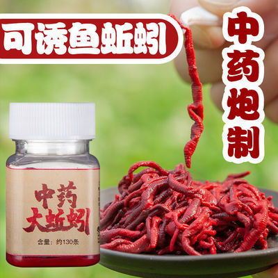 粗钩条挂红虫钓鱼饵料的正确方法，从入门到精通的详细指南