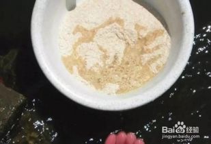 塘口钓鱼饵料怎么样用好