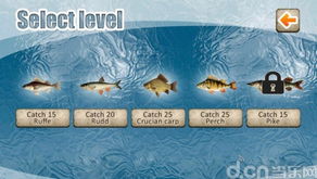 Mastering Winter Fishing:Tips and Techniques in a Video Guide