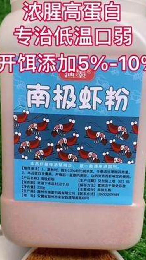 河北野钓饵料选择全攻略，从入门到精通的实战秘籍