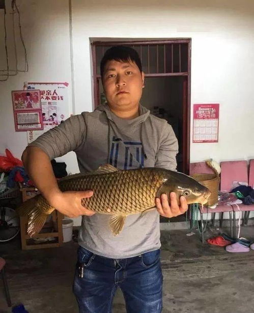 九岩钓鱼饵料怎么样？专业钓手实测告诉你答案