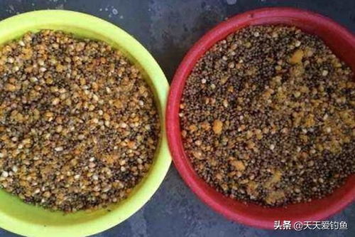 玉叶泡制钓鱼饵料的配方与方法