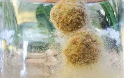 钓鱼饵料雾化大快怎么办？这些实用技巧让你轻松应对！