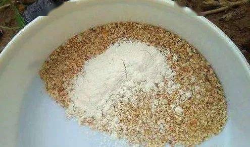 钓鱼饵料怎么能增加拉丝