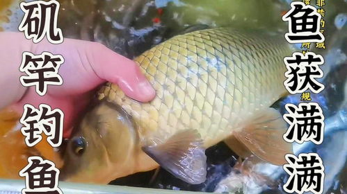 海克斯钓鱼饵料秘制配方，诱鱼入钩的终极指南