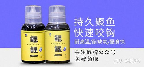 麦霸饵料的正确使用方法，让你的钓鱼成功率翻倍！