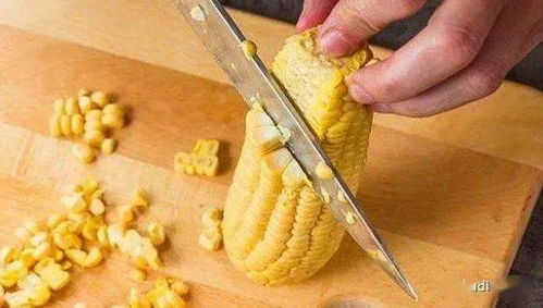 玉米王钓鱼饵料怎么样？深度评测与实战经验分享