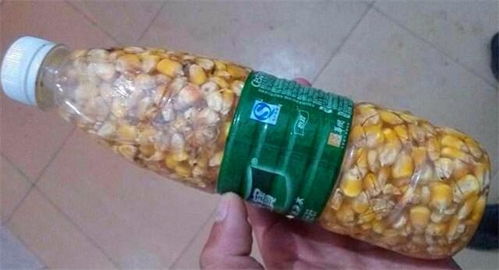 自制太空豆饵料的完美配方与制作技巧