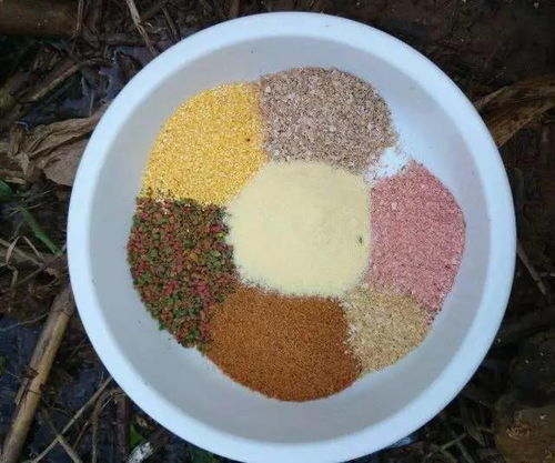 纯虾粉饵料的使用方法，钓鱼高手必看视频教程