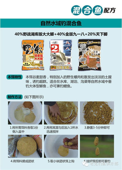 水库钓鱼饵料投放全攻略，从选择到技巧，一文掌握精髓