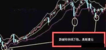 钓鱼饵料开搓饵怎么开的？手把手教你轻松掌握这项钓鱼技巧！
