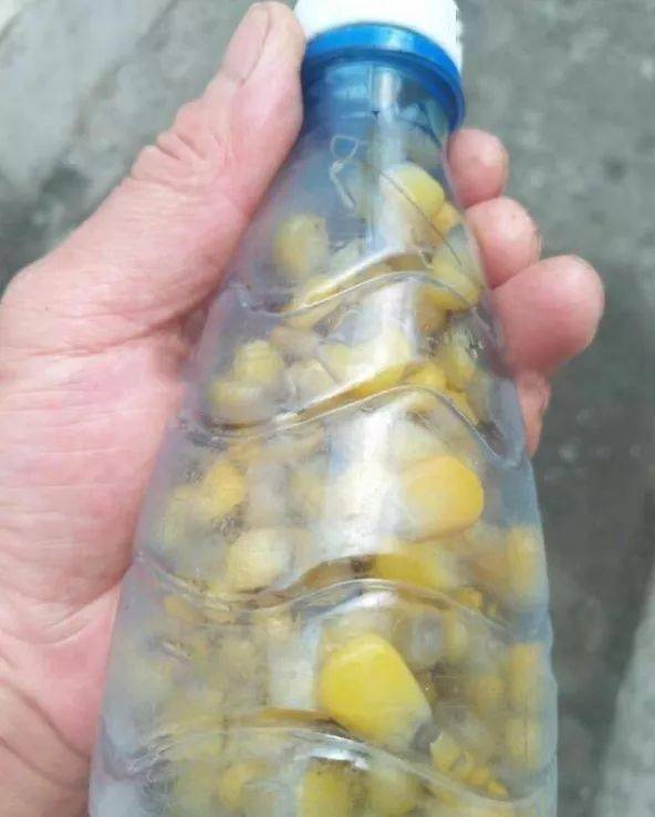 懒人钓鱼饵料怎么样用的？