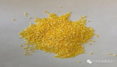 大米面做钓鱼饵料怎么做？一份简单易学的自制秘方