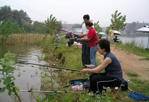 海选钓鱼饵料怎么用的视频,从入门到精通的实用技巧