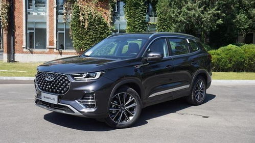 钓鱼饵料怎么粘得紧实些,实用技巧与方法