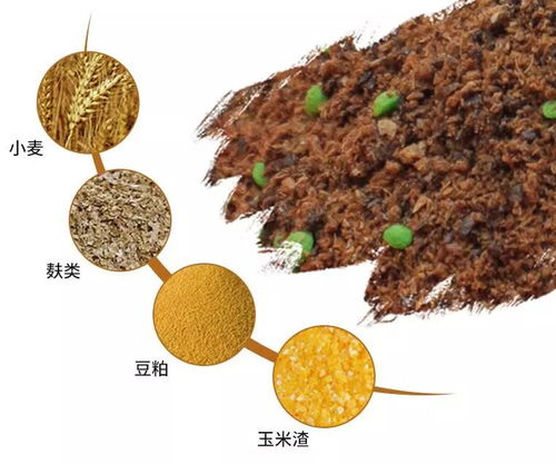 草梅粉钓鱼饵料的使用方法详解