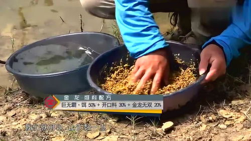 钓鱼饵料要怎么做才好吃?这份黄金配方请收好!