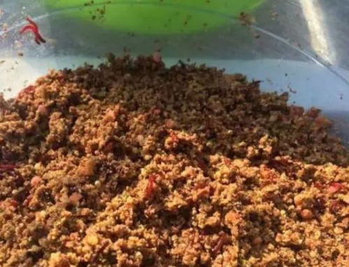 钓鱼饵料盆超大怎么办,实用解决方案