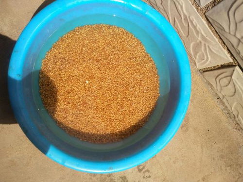 快速跑铅钓鱼饵料的制作方法与技巧