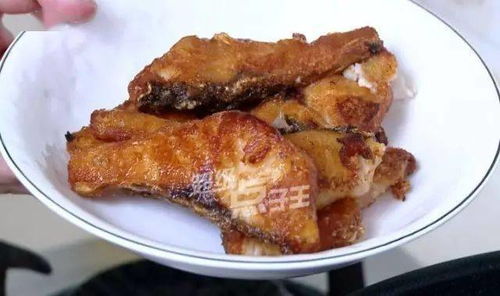 螺肉饵料，鲜香诱鱼的秘密武器