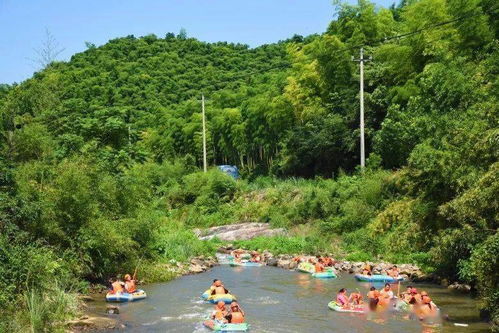 野驴钓鱼饵料怎么用最好?这份详细教程请收好!