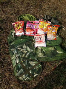 黑坑钓鱼饵料味型怎么调?老钓手的实战经验分享