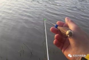 钓鱼饵料一堆怎么办?这些实用技巧让你轻松应对