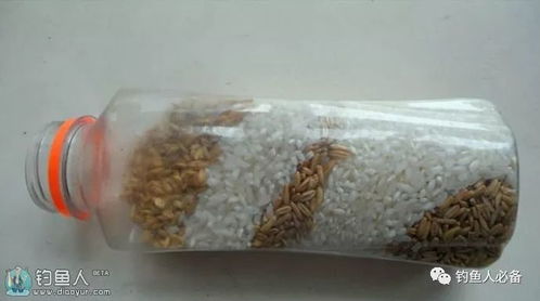 钓鱼饵料的制作与使用技巧