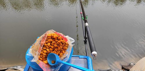 小溪钓鱼饵料打窝视频教程,轻松上手的钓鱼技巧