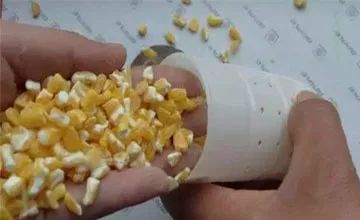 螺肉饵料制作全攻略，钓鱼高手必学的秘方与技巧