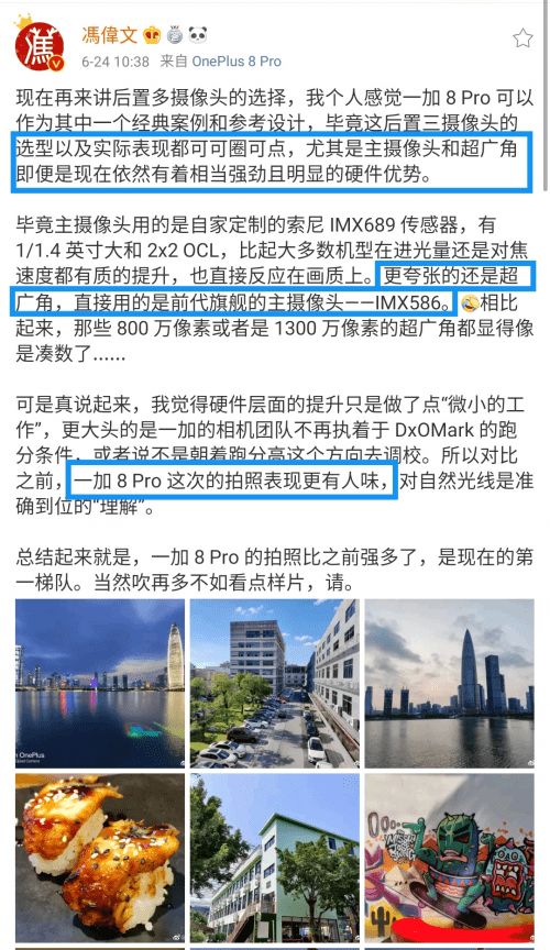 天逸钓鱼饵料怎么样？深度评测与用户反馈解析