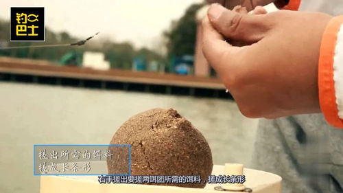 新手必学!钓鱼饵料窝料制作全攻略