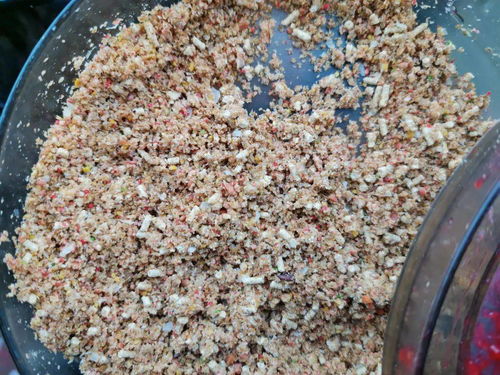 钓鱼饵料变废为宝，自制鱼饲料的科学方法