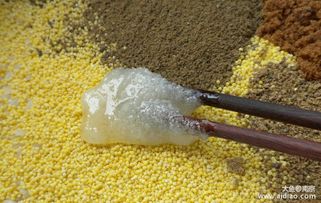 曾大盆钓鱼饵料怎么样?深度评测与用户反馈