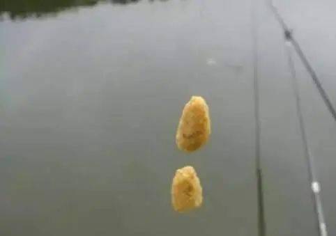 钓鱼饵料粘了怎么办?8个实用解决方案