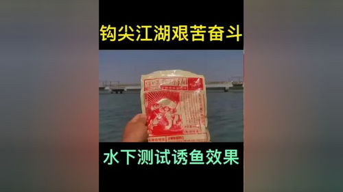 邓刚钓鱼饵料配方制作方法,揭秘大师级饵料秘方
