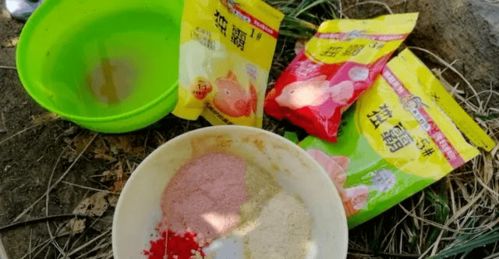 秋季钓鱼饵料腥味太重?这些方法帮你轻松解决!