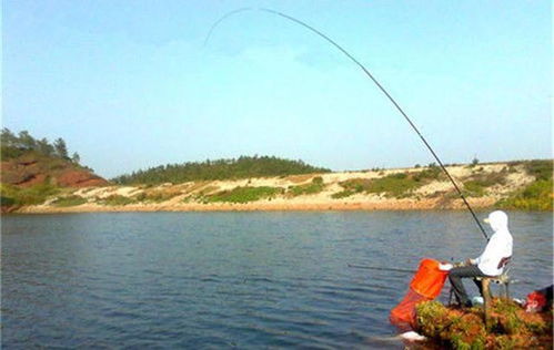 南麂岛钓鱼饵料怎么样?这些饵料让你的鱼获翻倍!