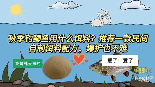 小兰教你自制钓鱼饵料,简单易行的教程