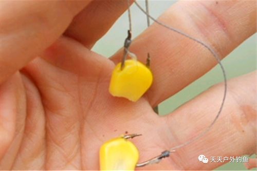 四爪钩钓鱼饵料使用方法详解