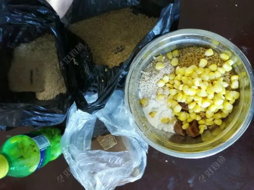 钓鱼饵料该怎么做好用呢?