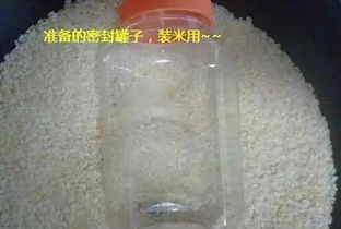 揭秘!钓鱼大爷的秘制饵料配方,专钓大鱼,效果惊人!