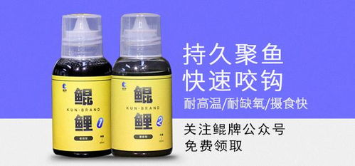 自制速效臭饵钓鱼饵料全攻略，从材料到实战应用