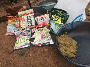 钓鱼饵料新选择,鸡肠的妙用与处理技巧